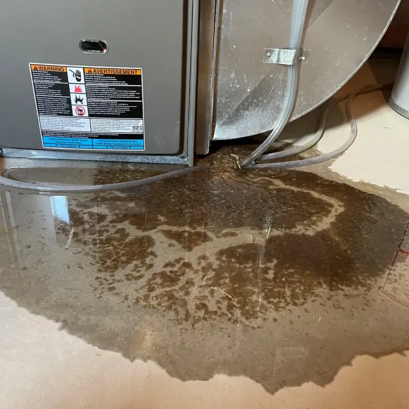 Appliance Leak Cleanup in Nolan County, TX